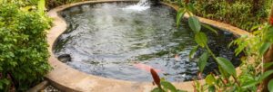 comment-fonctionne-la-filtration-d-un-bassin